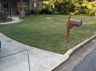 Tim H.'s Lawn Mowing service result