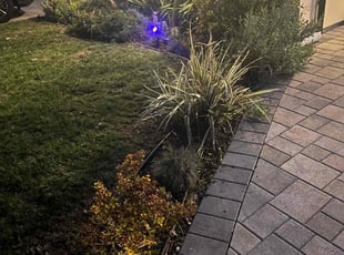Weeding by Fernando Gomez Rodriguez for Joseph P. in Los Angeles, CA