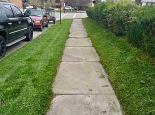 Toya D.'s Grass Cutting service result