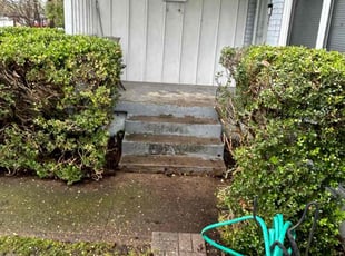 Gabriel G.'s Bush Trimming service result