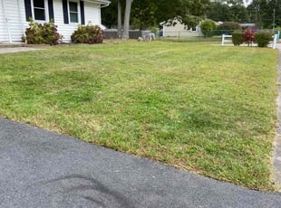 Gwendolyn D.'s Lawn Care service result