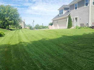Murr E.'s Lawn Mowing Service service result