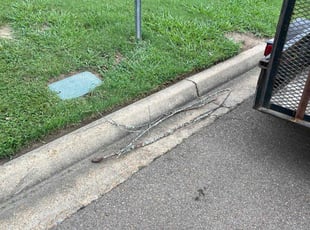 Cleanups by Jacob Morgan for Frances S. in Ridgeland, MS
