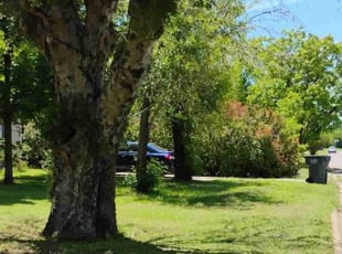 Cleanups by Megan Cabrera for Travis B. in Wichita Falls, TX