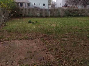 Leaf Removal by Aaron Suggs for Jean L. in Kentwood, MI