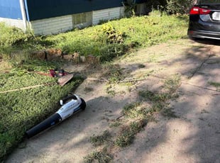 Michelle S.'s Flower Bed Weeding service result