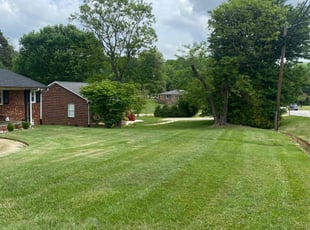 Anthony B.'s Yard Cutting service result