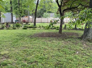 Leaf Removal by Cedrick Chealey for Rachel H. in Charlotte, NC