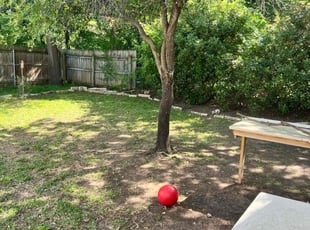 Leaf Removal by Marcus Carranza for Tyler M. in Bedford, TX