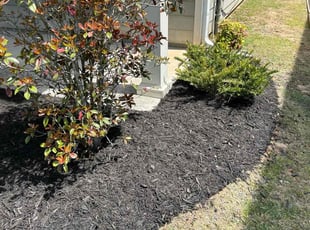 Mulching by Teri Monsour for John K. in Ball Ground, GA