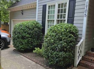 Bush Trimming by David Timmons for Adrian W. in Raleigh, NC