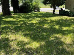 Bush Trimming by Zachary Herring for Linda A. in Kansas City, MO