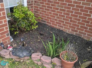 Weeding by Justin Shugrue for Jimmy S. in La Vergne, TN