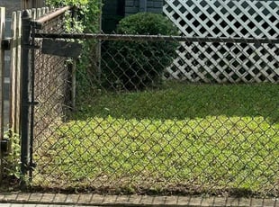 Bush Trimming by Norman Blanchard for Erica W. in Washington, DC