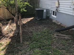 Leaf Removal by Terrence Hawkins for Aaron M. in Silver Spring, MD