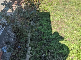 Cleanups by Anthony Vasquez for Renee D. in Milpitas, CA