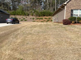 Weeding by Jeffrey Curtis for Shalanda D. in Palmetto, GA