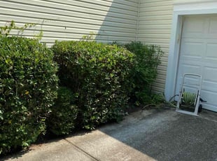 Nikolette B.'s Bush Trimming service result