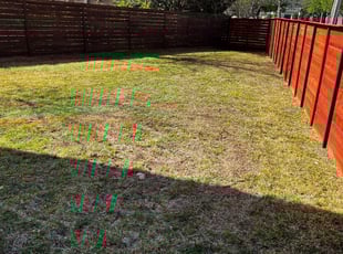 Leaf Removal by Marcus Carranza for Ryan A. in Dallas, TX