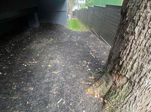 Leaf Removal by Pablo Andrade for Mariam M. in Washington, DC