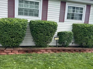 Bush Trimming by Leroy Green II for Terri T. in Columbus, OH