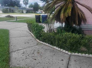 Weeding by Yohan Torres for Julie S. in Auburndale, FL