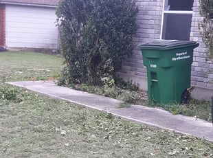 Bush Trimming by Gregory Kluetz for Jeremy M. in San Antonio, TX
