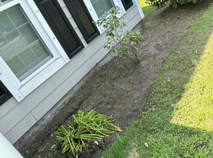 Weeding by Felix Garcia for Barbara L. in Mount Pleasant, SC