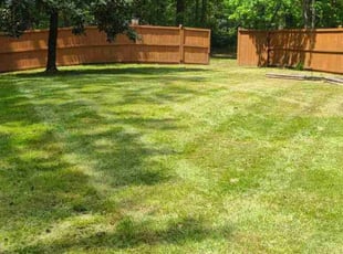 Erin L.'s Lawn Care service result