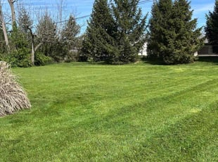 Michael M.'s Yard Cutting service result