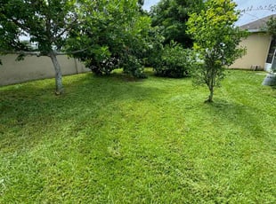 Cosette M.'s Lawn Service service result