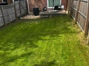 Cindy C.'s Yard Cutting service result