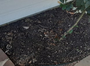 Weeding by Randy Jordan for Chelsea E. in Spring, TX