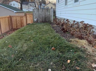 Leaf Removal by Quinn Mendlik for Crystal R. in Omaha, NE