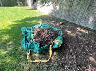 Cleanups by Caree Keith for Walter P. in Waldorf, MD