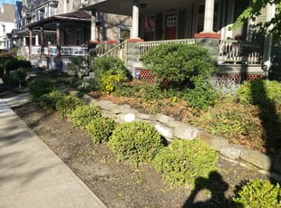 Bush Trimming by Kelvin Grove for Kevin J. in Cleveland, OH