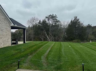 Kathy B.'s Lawn Service service result