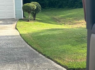 Tara W.'s Bush Trimming service result