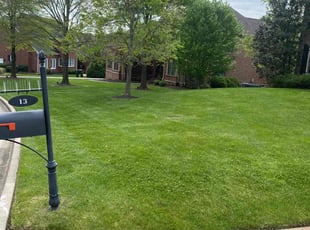 Jay A.'s Lawn Care service result