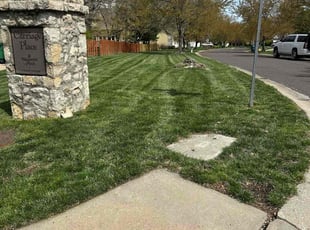 Zawadi T.'s Lawn Maintenance service result