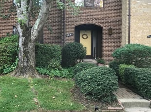 Bush Trimming by Jason Scott for Joan T. in Gaithersburg, MD