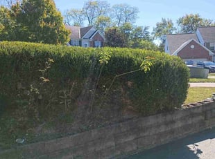 Bush Trimming by Caleb Patton for Brandon A. in Cincinnati, OH