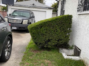 Bush Trimming by Uriel Ocampo for Madelyn J. in Compton, CA