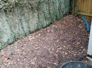Cleanups by Alan Hollis for Jerry H. in Tallahassee, FL