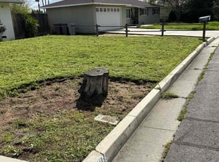 Cleanups by Johnie Parker for Cherokee B. in Fresno, CA
