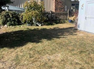 Leaf Removal by Jose Sanchez for George H. in Naperville, IL