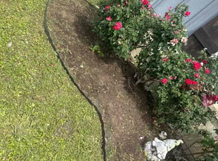 Weeding by Alfredo Cisneros for Mark G. in Denton, TX