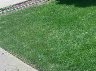 Margie S.'s Lawn Service service result