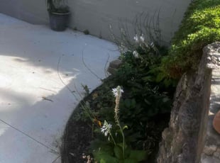 Cleanups by James Abernathy for Brent B. in Cincinnati, OH