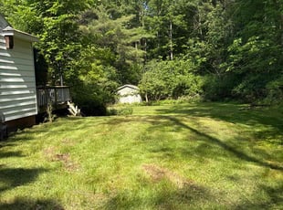 Darlene S.'s Leaf Removal service result